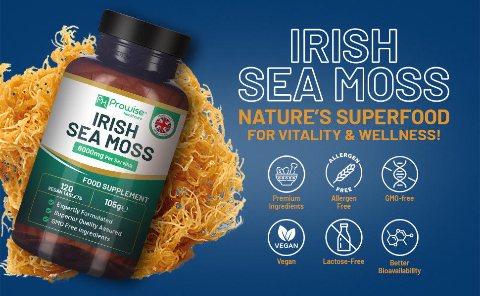 Irish Sea Moss And Its Benefits: Why You Need It In Your Diet