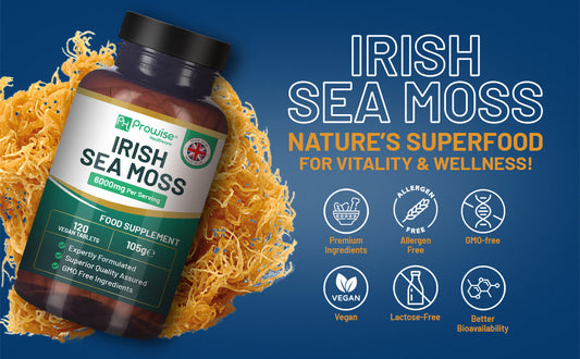 Irish Sea Moss And Its Benefits: Why You Need It In Your Diet