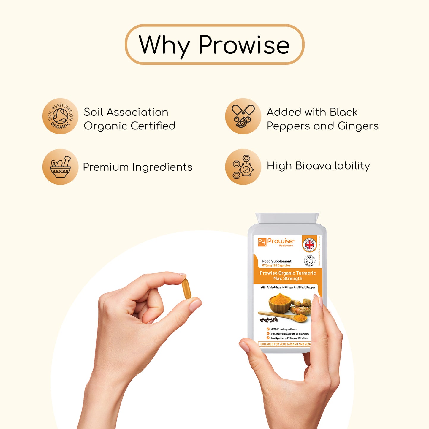 Prowise Turmeric Supplement