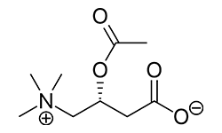 acetyl-l-carnitine