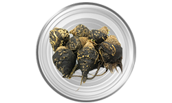 black_pepper