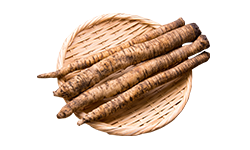 burdock-root-extract