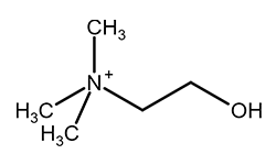 black_pepper