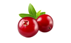 cranberry