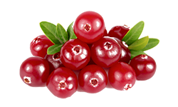 black_pepper