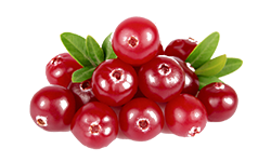 cranberry-extract