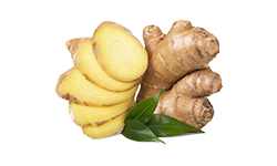ginger-root-extract