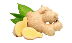 organic-ginger