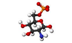 black_pepper