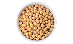 black_pepper