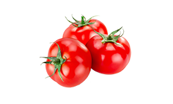 Lycopene