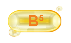 Pantothenic Acid (Vitamin B5)