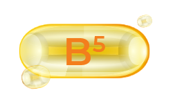 pantothenic-acid-b5