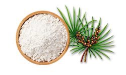 saw-palmetto-extract