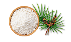 Saw Palmetto Extract