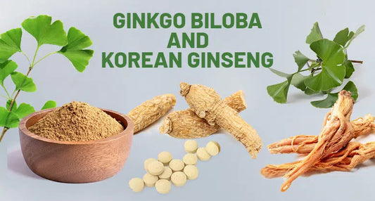 Ginkgo Biloba – A Magic Bullet to Mental Performance?
