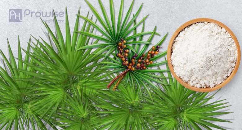 Can Saw Palmetto be a Man’s Healthy Berry?