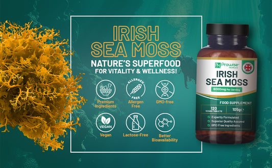 Irish Sea Moss And Its Benefits: Why You Need It In Your Diet