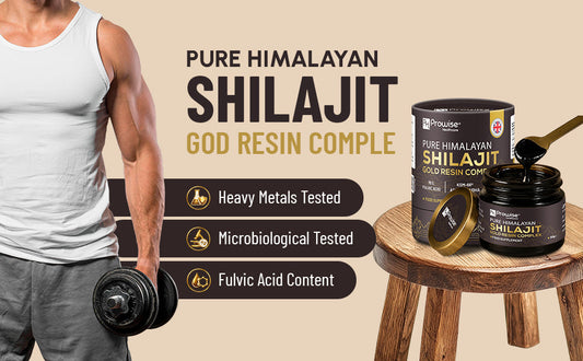 Himalayan shilajit resin