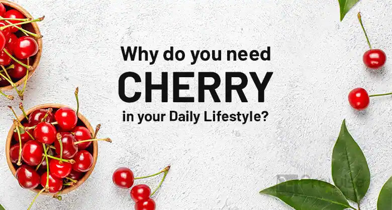 What Is Montmorency Cherry – Does It Really Work?