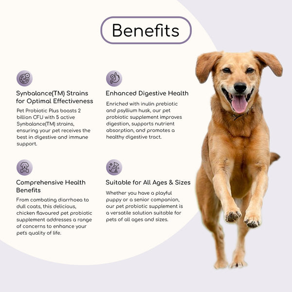 Pet Probiotic Plus with Added Inulin & Psyllium Husk For Dog