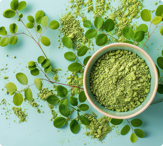 more-energy-and-immune-support-in-every-capsule