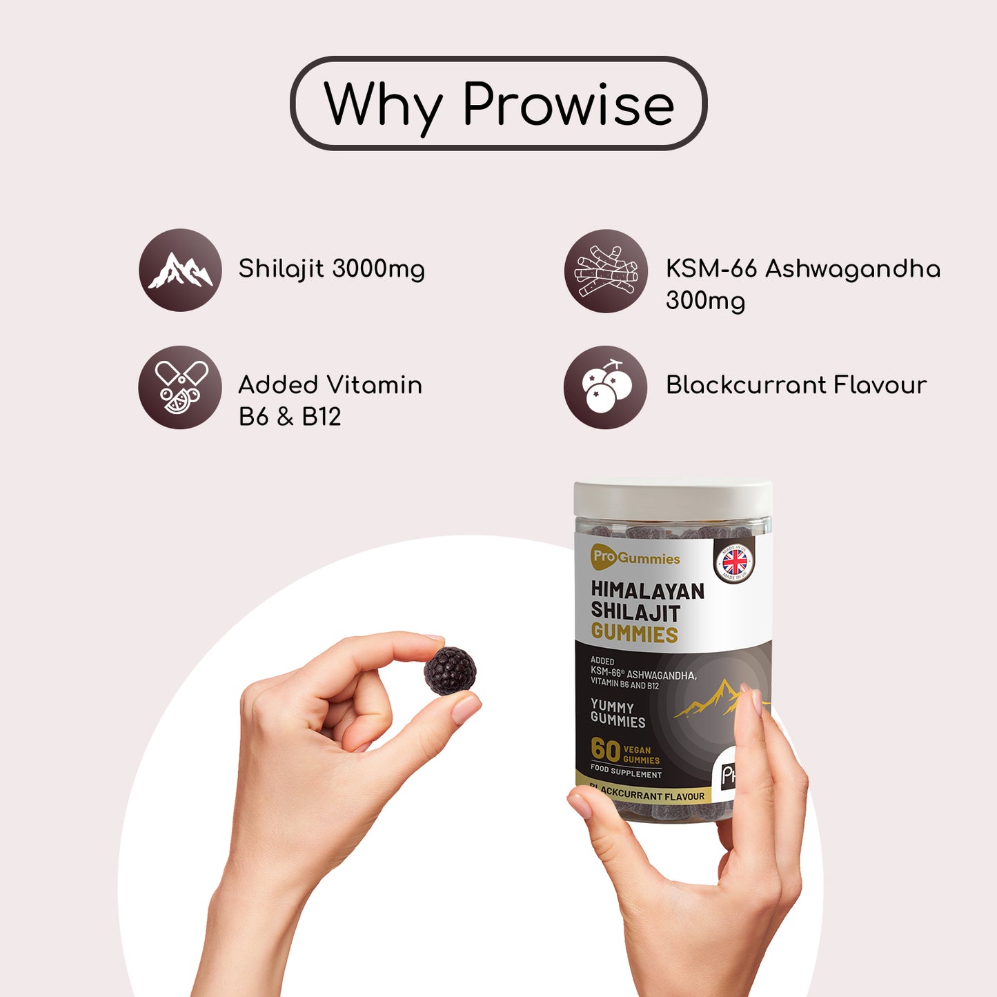 Himalayan Shilajit Gummies with KSM-66 Ashwagandha