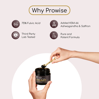Pure Himalayan Shilajit Gold Resin Complex