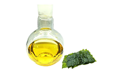 algae-oil