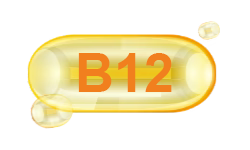 vitamin-b12