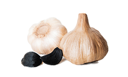 black-garlic-extract