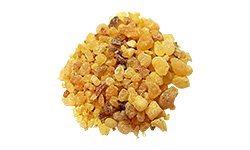 boswellia-extract