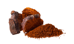 chaga-mushroom-fruiting-powder