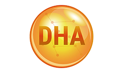 providing-dha