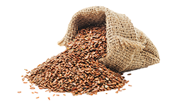 flaxseed-linseed