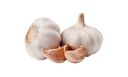 garlic