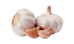 garlic-extract-100-1