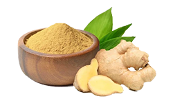 ginger-root-powder