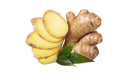 ginger-root-powder