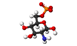 glucosamine-sulfate-2kci
