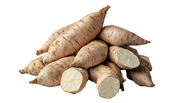 lesser-yam