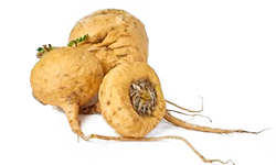 maca-root