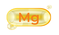 magnesium