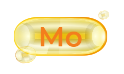 molybdenum