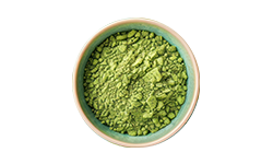 moringa-leaf-powder