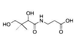 pantothenic-acid-b5