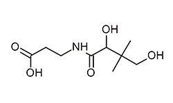 pantothenic-acid