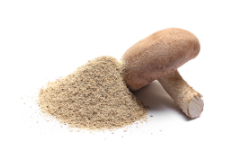 shiitake-mushroom-fruiting-powder