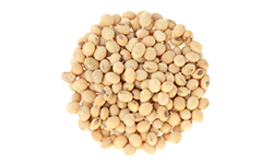 soya-isoflavones