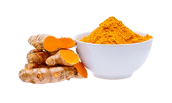 turmeric-root-extract